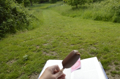 A book and an ice cream in a wild spot- heaven! 